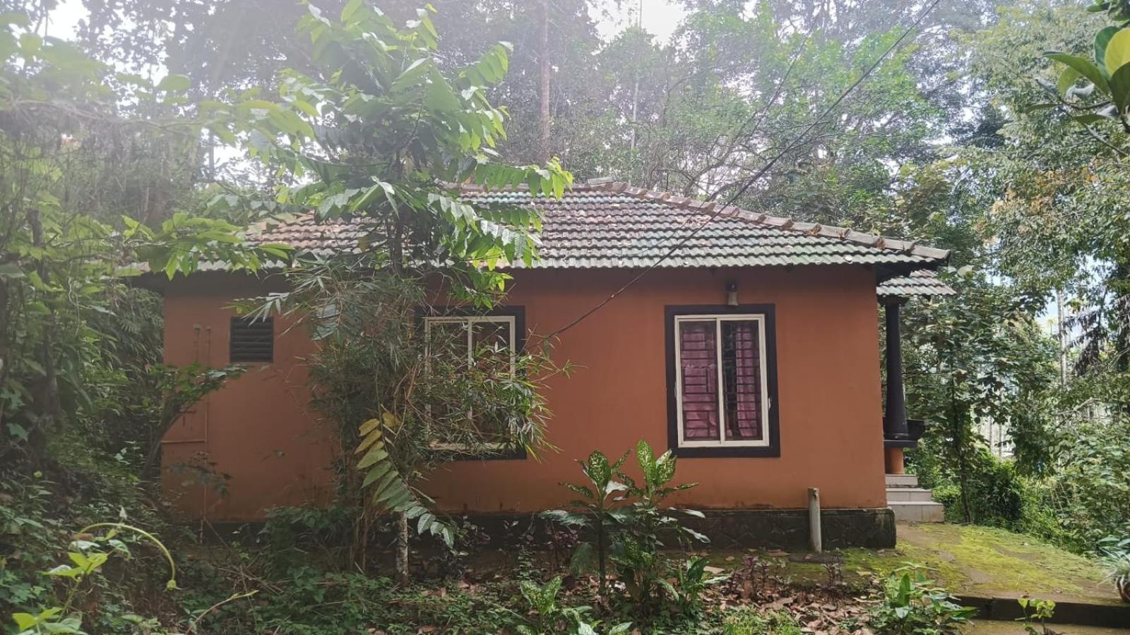 Jungle Valley Ayurvedic Spa Resort Meppadi Exterior photo