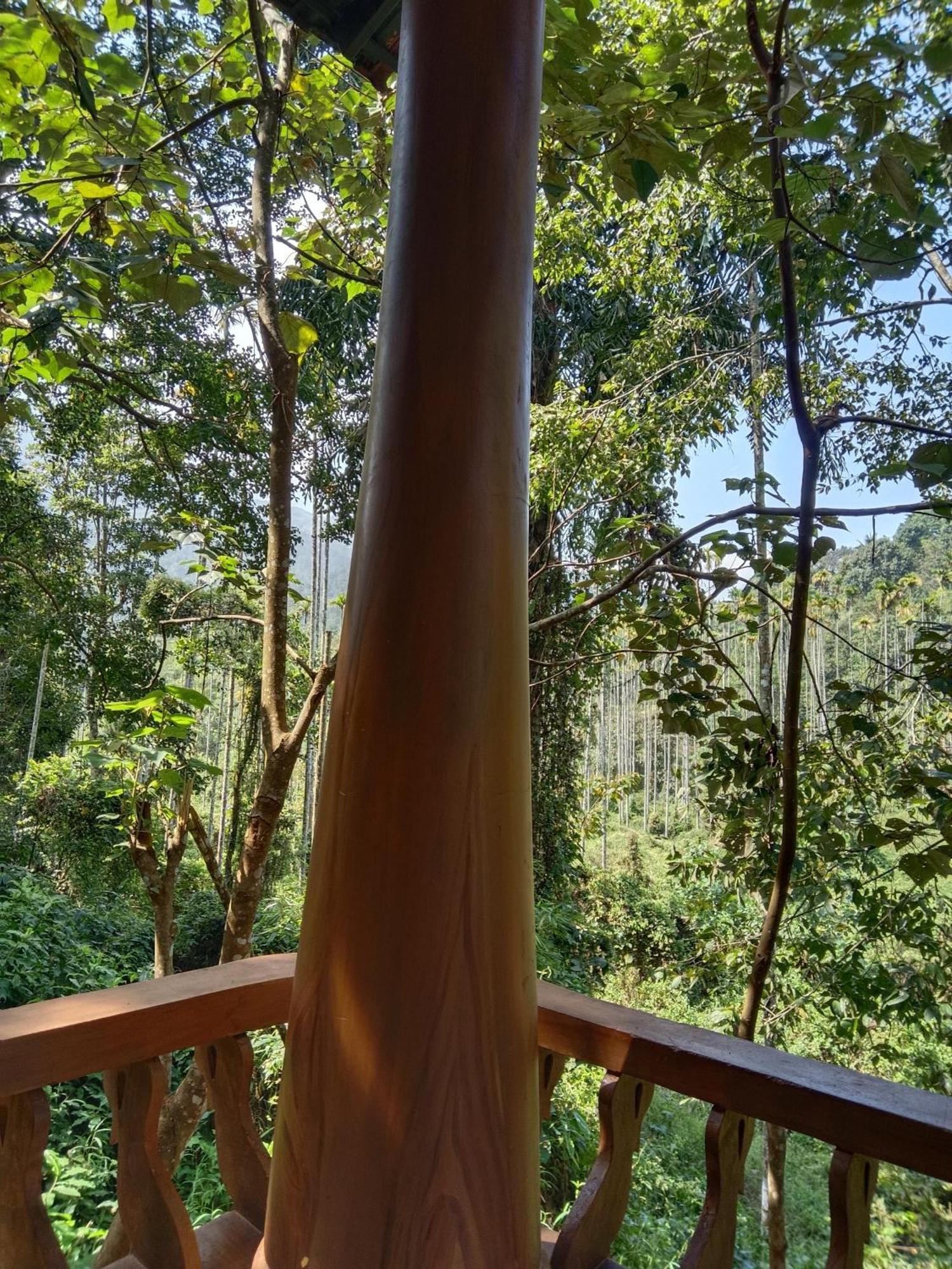 Jungle Valley Ayurvedic Spa Resort Meppadi Exterior photo