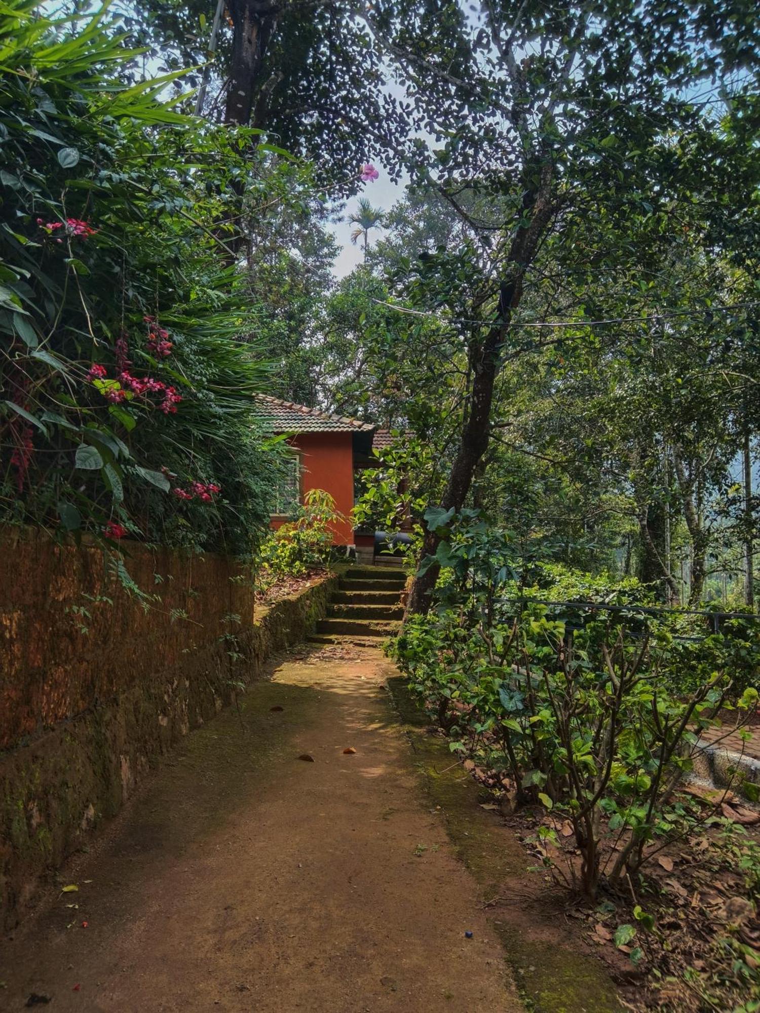 Jungle Valley Ayurvedic Spa Resort Meppadi Exterior photo